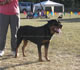 12-18 month Males: 100 5080