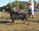 12-18 month Males: 100 5106