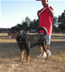 12-18 month Males: 100 5158