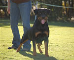 12-18 FEMALES: 0433 Tilley Von Sederhaus V1