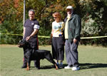 BREEDER CLASS MALES: 0028 Darkstarrs Living Legend V1