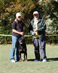 BREEDER CLASS MALES: 0044 Dux Von Norroghaus V2