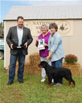 0223 Best Male Puppy Kostlich Austin Blu Odin Misty Lake