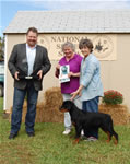 0224 Best Male Puppy Kostlich Austin Blu Odin Misty Lake