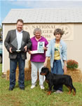 0227 Best Male Puppy Kostlich Austin Blu Odin Misty Lake
