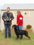 0599 Darkstarrs Coby Dicalabria 6-9 Males VP1