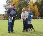 0855 Siegerin Kostlich Youre My Goldie V Ursa  Siegerin Class Females V1