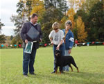 0856 Siegerin Kostlich Youre My Goldie V Ursa  Siegerin Class Females V1