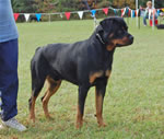 0278 King V Drakkenfels G3