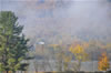 DSC 0525