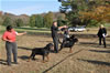 0259 Males Competeing For Sieger