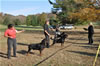 0260 Males Competeing For Sieger