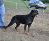 0448 Isis Von Evman SG