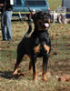 0232 Genworks Gladys VP3