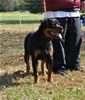 0237 Mona Von Bloniev VP1 And Best Female Puppy