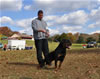 0328 Barry Vom Carrabba Haus V1 And Youth Sieger