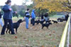 0037 4-6 Month Males