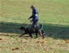 0138 Wyatt Vom Blaurasen P3