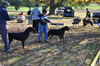 0145 9-12 Mth Males