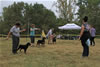 234 Causin A Commotion Von Mitternadt VP1 Natl Best Female Puppy