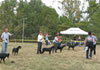 6-9 month FEMALES: 0692 6-9mth Females