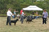 6-9 month FEMALES: 0695 6-9mth Females