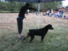 6-9 month MALES: 0642 Chaos Von Mitternadt VP1