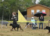 6-9 month MALES: 0672 Chaos Von Mitternadt VP1