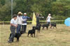 6-9 month MALES: 0678 6-9mth Males