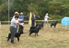6-9 month MALES: 0679 6-9mth Males
