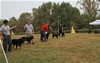 9-12 month MALES: 045 9-12mths Males