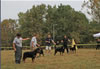 9-12 month MALES: 046 9-12mths Males