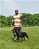 9-12 mth rottweiler females: 0420 Blackwolfs Gina VP3