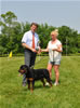 9-12 mth rottweiler females: 0436 Ulla Vom Blaurasen VP2