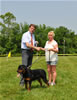9-12 mth rottweiler females: 0438 Ulla Vom Blaurasen VP2