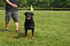 Open Females: 0665 Kellan Von Rivendell V4