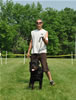 12-18 month males: 0355 Chico Von Brinkhaus SG1