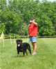 12-18 month males: 0356 Wandors Wasko Von Warterr