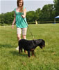 4-6 mth rottweiler males: 0303 Wade Vom Blaurasen VP3