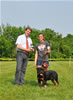 4-6 mth rottweiler males: 0316 Adoniah Vom Hemmlisches P4