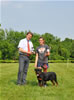 4-6 mth rottweiler males: 0317 Adoniah Vom Hemmlisches P4