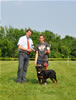 4-6 mth rottweiler males: 0318 Adoniah Vom Hemmlisches P4