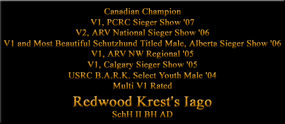 Redwood Krest's Iago, Rick von Burgthann son, rottweiler stud dog, rottweiler studs