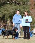 6-9 Females Face From Royal Breed VP1 Best Female Puppy 0863