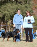 6-9 Females Face From Royal Breed VP1 Best Female Puppy 0865
