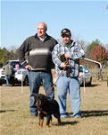 4-6 Males Magnum Vom Kelhausen VP1 Best Male Puppy 0676