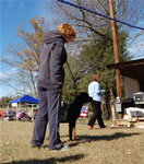 6-9 MONTH FEMALES: 0856