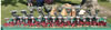 0019 Trophies
