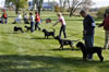 0172 4-6 Month Females