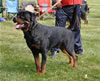 0313 Vasfors Hank The Tank Aaron V2